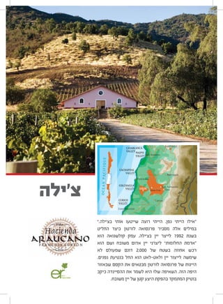 “.‫בצ‘ילה‬ ‫אותי‬ ‫שייטעו‬ ‫רוצה‬ ‫הייתי‬ ,‫גפן‬ ‫הייתי‬ ‫”אילו‬
‫החליט‬ ‫כיצד‬ ‫לורטון‬ ‫פרנסואה‬ ‫מסביר‬ ‫אלה‬ ‫במילים‬
‫הוא‬ ‫קולשגואה‬ ‫עמק‬ .‫בצ‘ילה‬ ‫יין‬ ‫לייצר‬ 1992 ‫בשנת‬
‫הוא‬ ‫ושם‬ ‫משובח‬ ‫אדום‬ ‫יין‬ ‫ליצרני‬ “‫החלומות‬ ‫”אדמת‬
‫לא‬ ‫שמעולם‬ ‫דונם‬ 2,000 ‫של‬ ‫בשטח‬ ‫אחוזה‬ ‫רכש‬
.‫גפנים‬ ‫בנטיעת‬ ‫החל‬ ‫הוא‬ ‫ולאט-לאט‬ ‫יין‬ ‫לייצור‬ ‫שימשה‬
‫שבאזור‬ ‫הקסם‬ ‫את‬ ‫מבטאים‬ ‫לורטון‬ ‫פרנסואה‬ ‫של‬ ‫היינות‬
‫כיקב‬ ‫ההסיינדה‬ ‫את‬ ‫לשמר‬ ‫היא‬ ‫שלו‬ ‫השאיפה‬ .‫הזה‬ ‫היפה‬
.‫משובח‬ ‫יין‬ ‫של‬ ‫קטן‬ ‫היצע‬ ‫בהפקת‬ ‫המתמקד‬ ‫בוטיק‬
‫צ'ילה‬
 