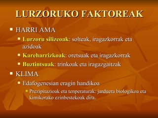 LURZORUKO FAKTOREAK
   HARRI AMA
       Lurzoru silizeoak: solteak, iragazkorrak eta
        azidoak
       Kareharrizkoak: oretsuak eta iragazkorrak
       Buztintsuak: trinkoak eta iragazgaitzak
   KLIMA
       Edafogenesian eragin handikoa
            Prezipitazioak eta tenperaturak: jarduera biologikoa eta
             kimikorako ezinbestekoak dira.
 