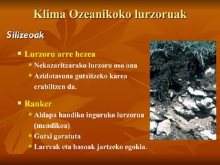 Klima Ozeanikoko lurzoruak
Silizeoak
     Lurzoru arre hezea
          Nekazaritzarako lurzoru oso ona
          Azidotasuna gutxitzeko karea
           erabiltzen da.

     Ranker
          Aldapa handiko inguruko lurzorua
           (mendikoa)
          Gutxi garatuta
          Larreak eta basoak jartzeko egokia.
 