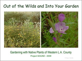 Out of the Wilds and Into Your Garden




   Gardening with Native Plants of Western L.A. County
                   Project SOUND - 2009
                                                © Project SOUND
 