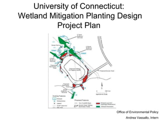 University of Connecticut:  Wetland Mitigation Planting Design Project Plan   Office of Environmental Policy Andrea Vassallo, Intern 