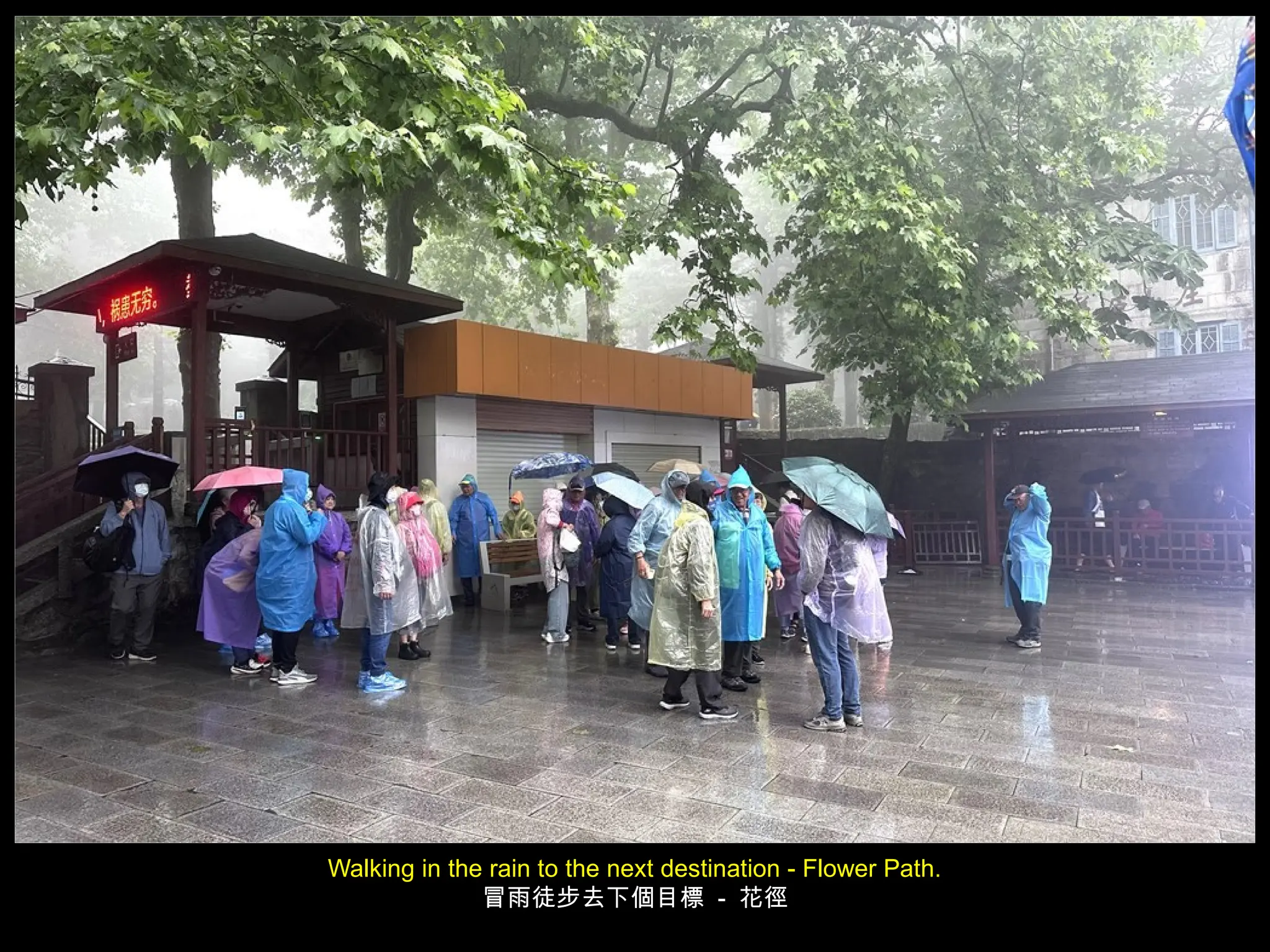 Walking in the rain to the next destination - Flower Path.
冒雨徒步去下個目標 - 花徑
 