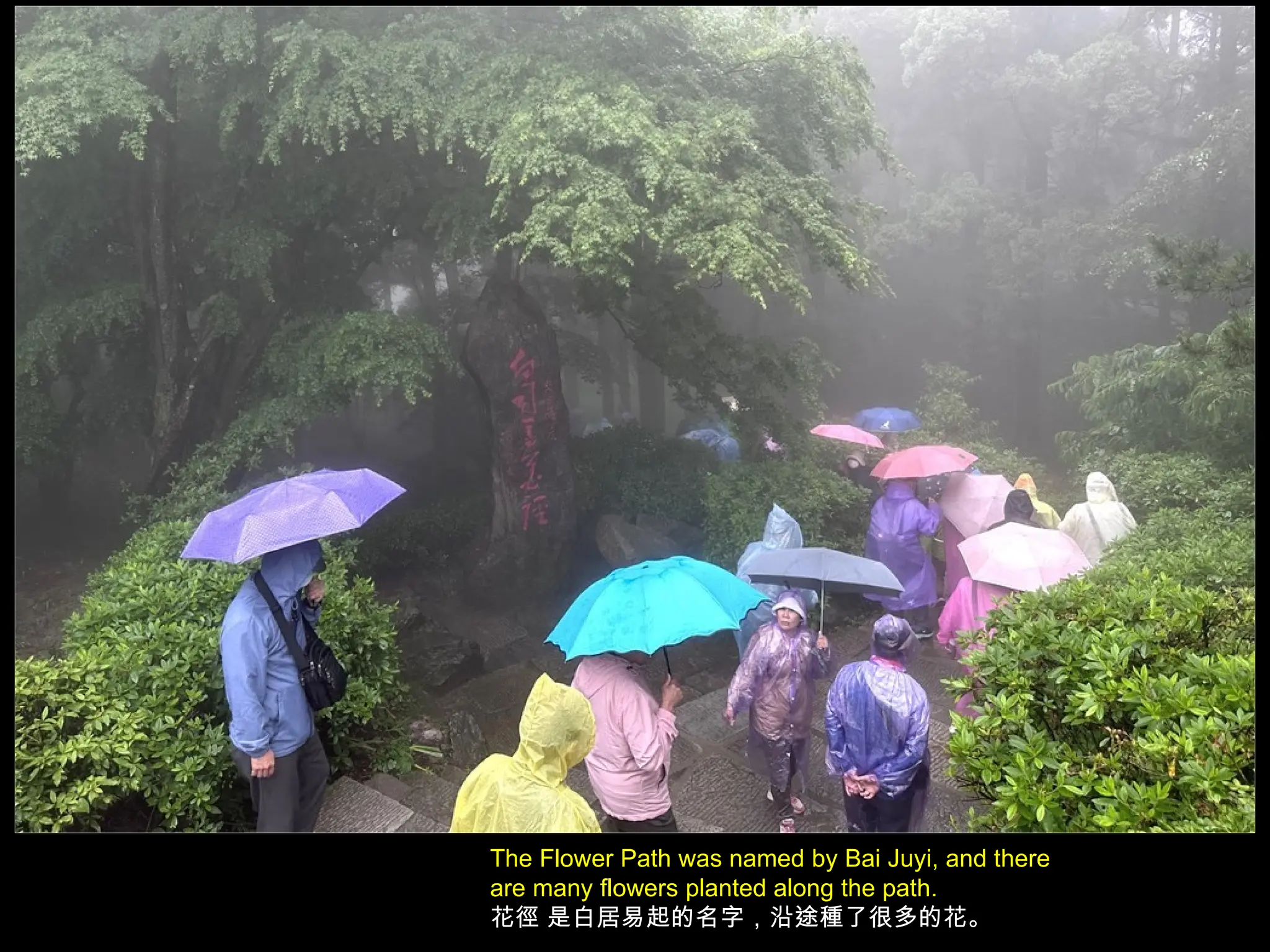 The Flower Path was named by Bai Juyi, and there
are many flowers planted along the path.
花徑 是白居易起的名字，沿途種了很多的花。
 