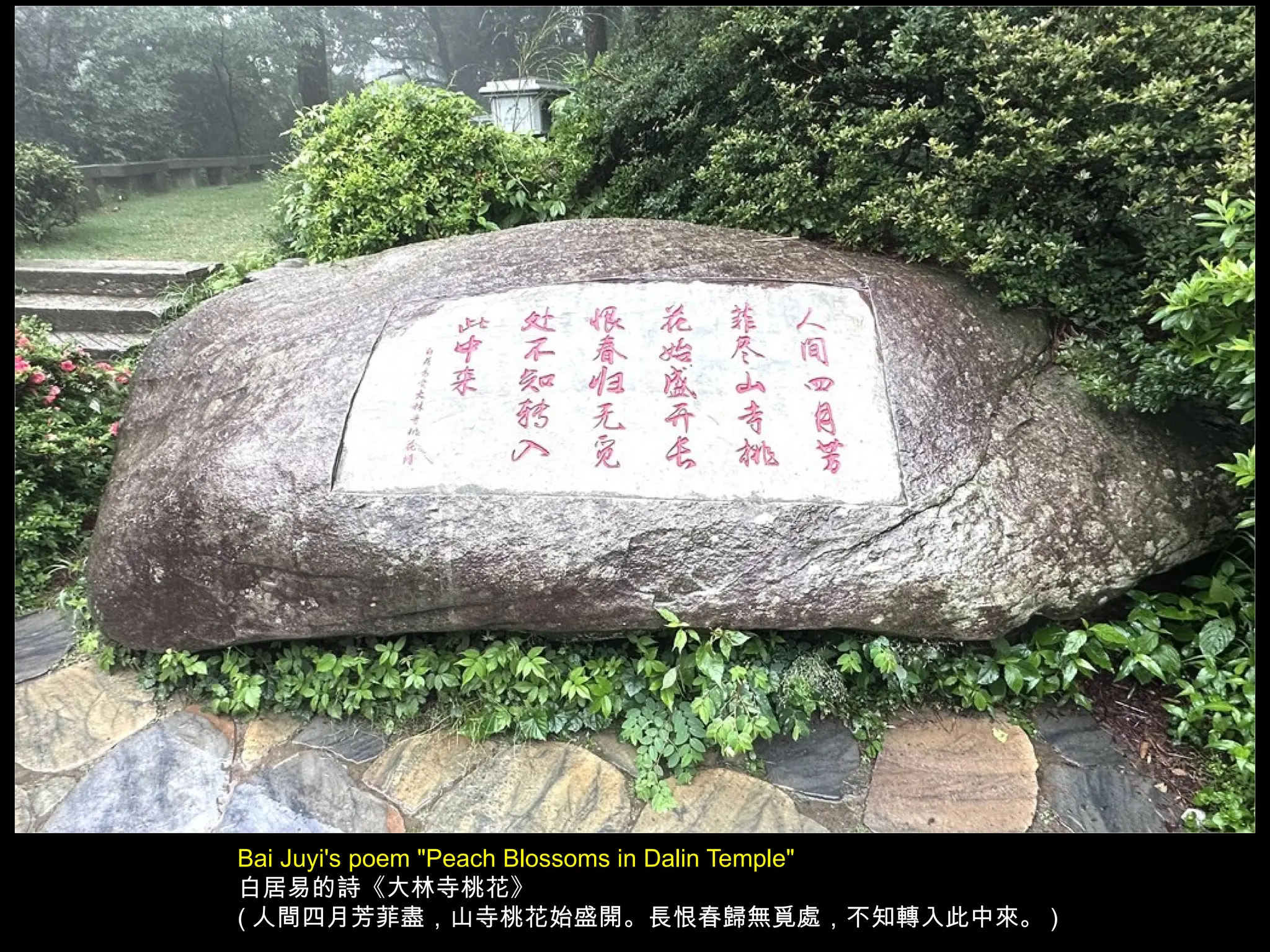 Bai Juyi's poem "Peach Blossoms in Dalin Temple"
白居易的詩《大林寺桃花》
( 人間四月芳菲盡，山寺桃花始盛開。長恨春歸無覓處，不知轉入此中來。 )
 