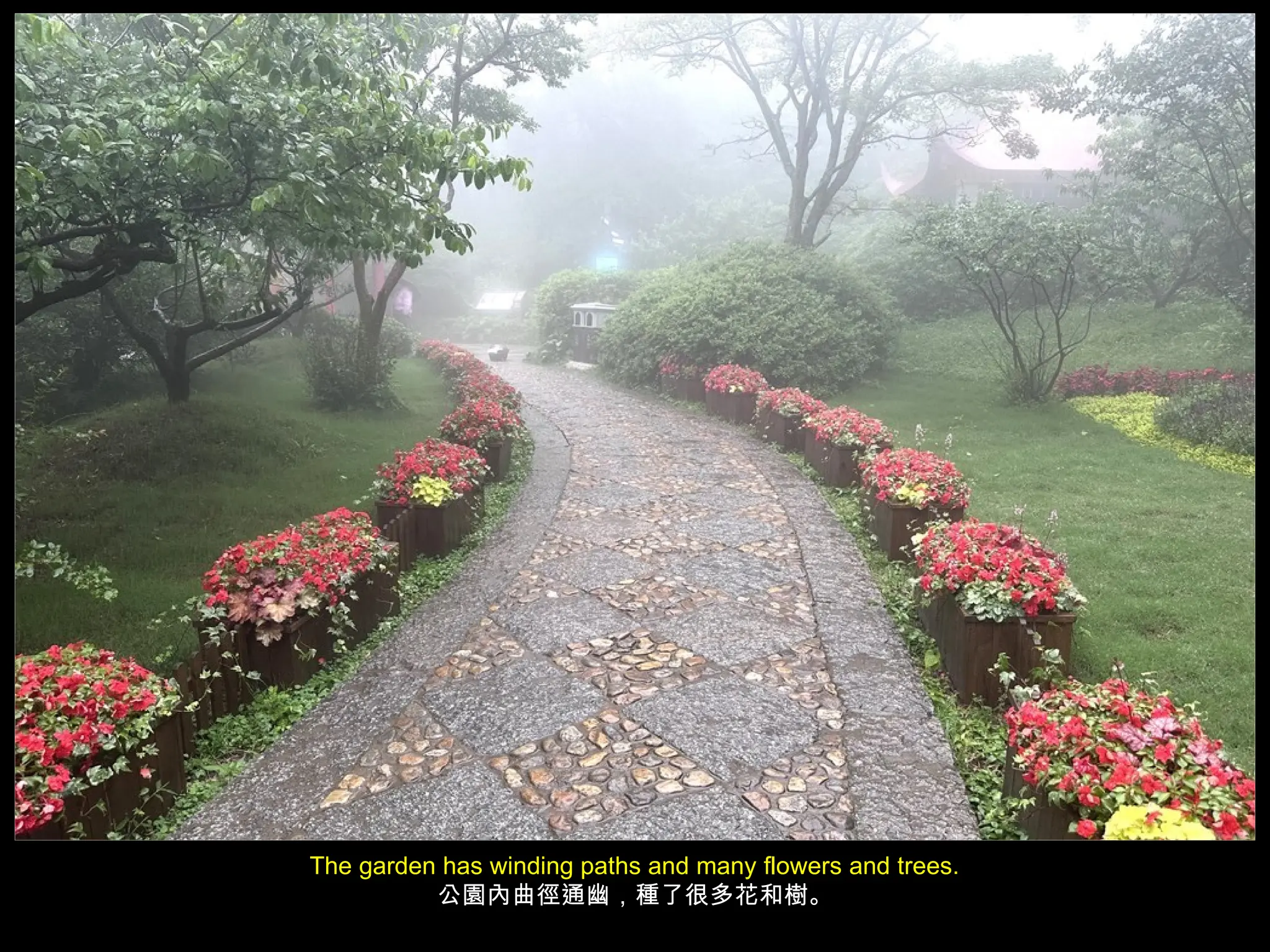 The garden has winding paths and many flowers and trees.
公園內曲徑通幽，種了很多花和樹。
 