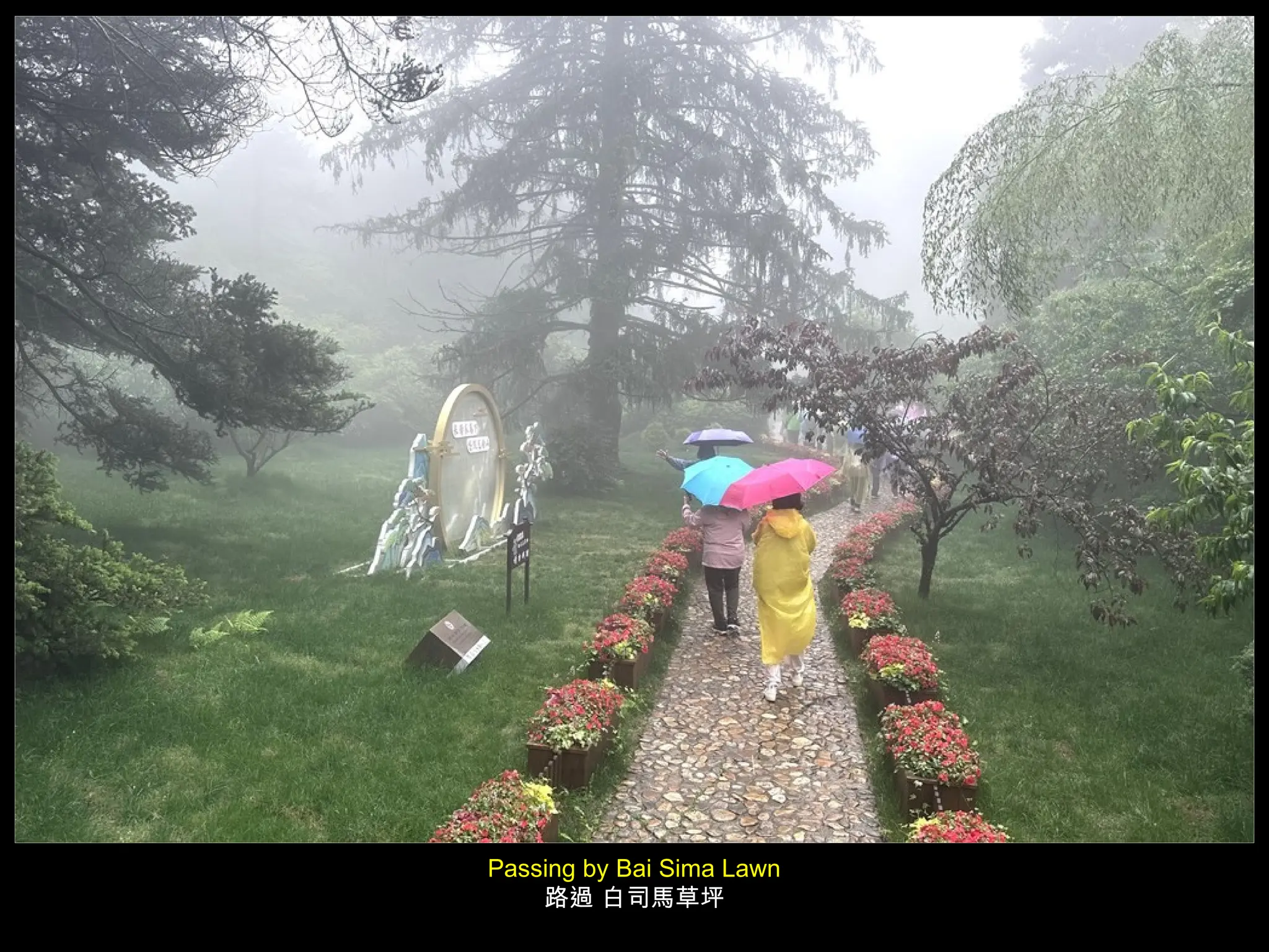 Passing by Bai Sima Lawn
路過 白司馬草坪
 