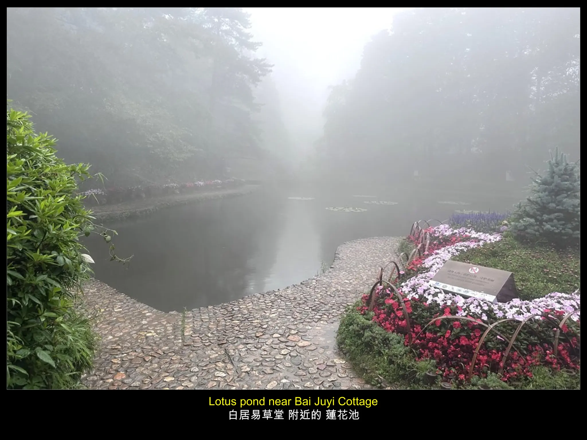 Lotus pond near Bai Juyi Cottage
白居易草堂 附近的 蓮花池
 