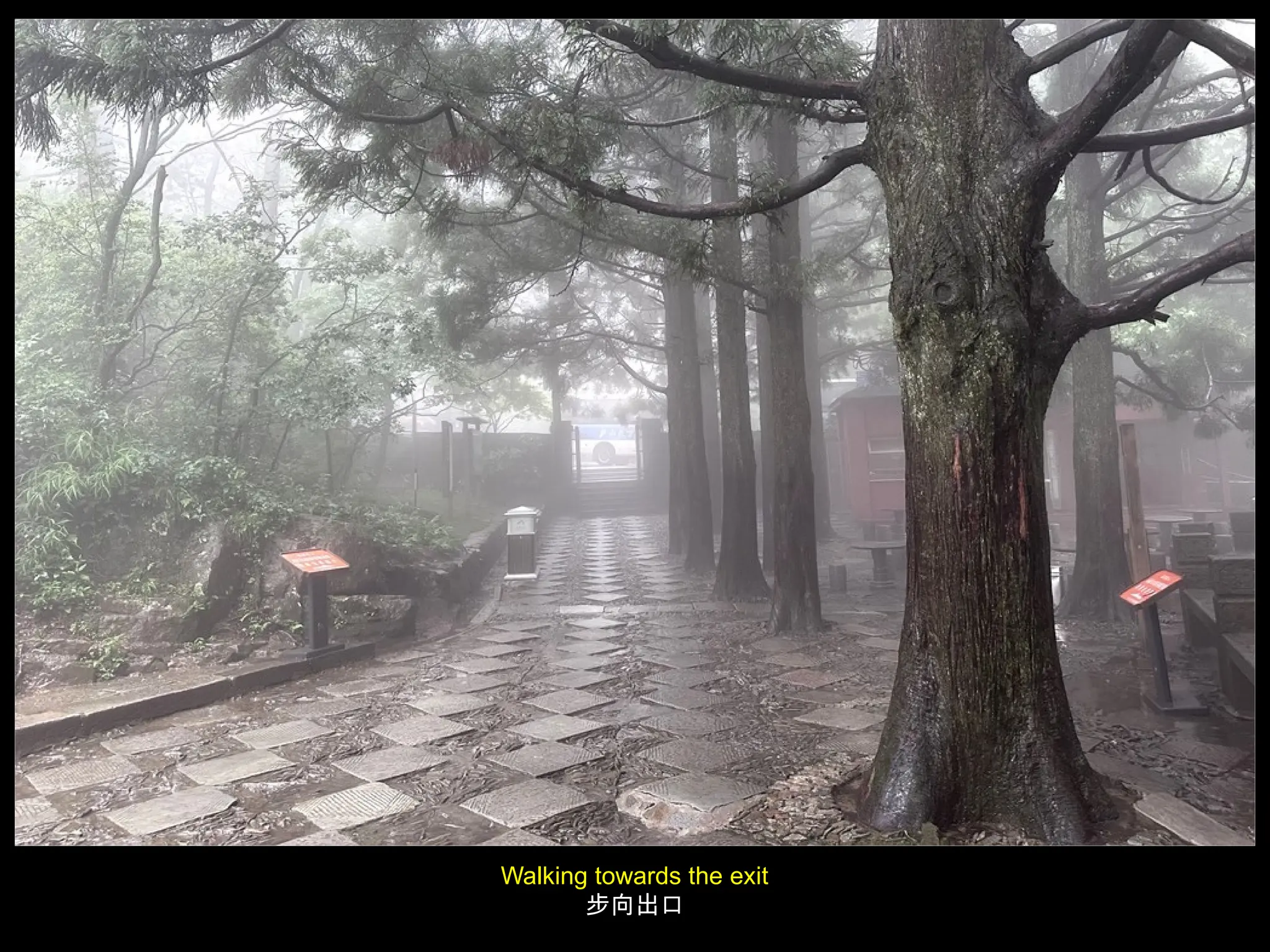 Walking towards the exit
步向出口
 