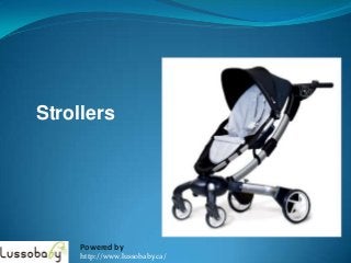 Strollers




     Powered by
     http://www.lussobaby.ca/
 