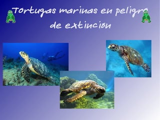 Tortugas marinas en peligro
       de extinción
 