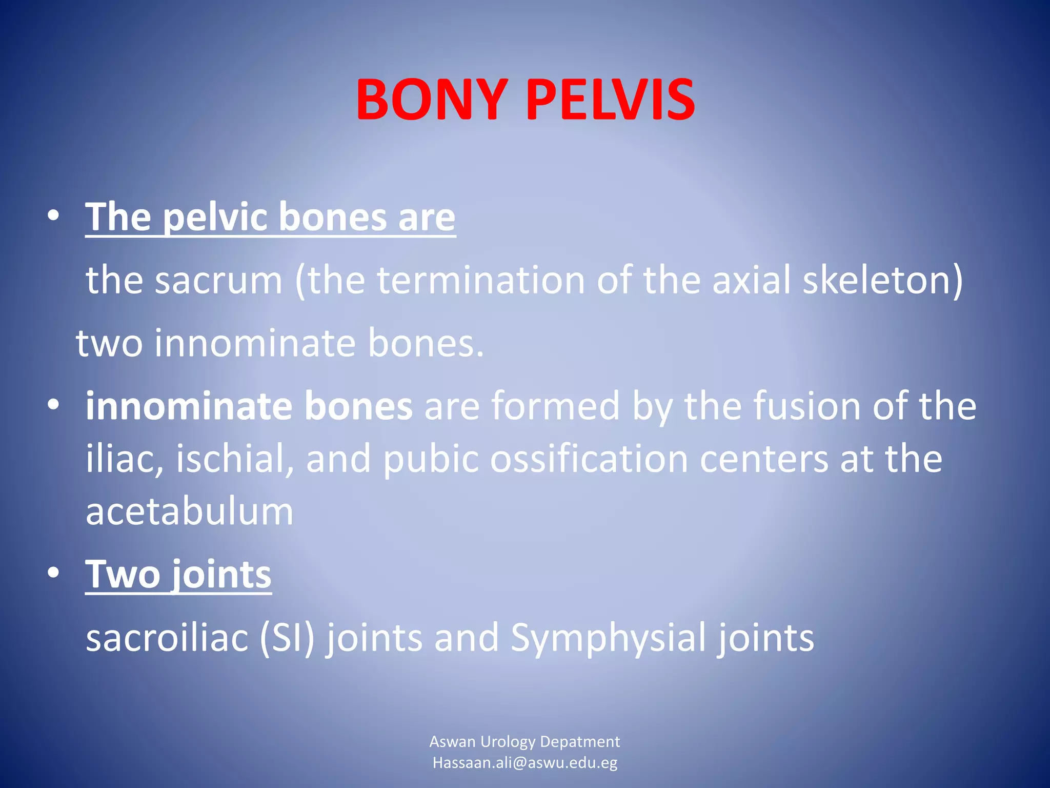 Lower urinary tract anatomy | PPTX