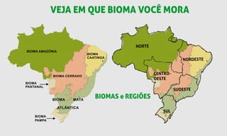 BIOMA AMAZÔNIA
BIOMA CERRADO
BIOMA
PANTANAL
BIOMA
CAATINGA
BIOMA MATA
ATLÂNTICA
BIOMA
PAMPA
NORTE
CENTRO-
OESTE
NORDESTE
SUDESTE
SUL
BIOMAS e REGIÕES
VEJA EM QUE BIOMA VOCÊ MORA
 
