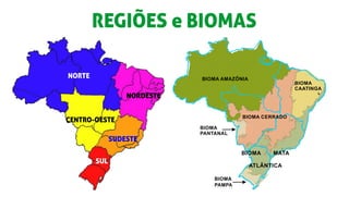 BIOMA AMAZÔNIA
BIOMA
PANTANAL
BIOMA
CAATINGA
BIOMA
PAMPA
NORTE
NORDESTE
CENTRO-OESTE
SUDESTE
SUL
REGIÕES e BIOMAS
BIOMA MATA
ATLÂNTICA
BIOMA CERRADO
 
