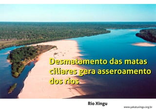 www.yakatuxingu.org.br
Rio Xingu
Desmatamento das matas
ciliares gera asseroamento
dos rios
Desmatamento das matas
ciliares gera asseroamento
dos rios
 