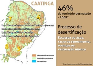 http://www.mma.gov.br/biomas/caatinga
Processo de
desertiﬁcação
CAATINGA
46%
do território desmatado
- 2009*
*
Desmatamento acumulado
Vegetação remanescente
Corpos d’água
Escassez de água,
falta de saneamento,
doenças de
veiculação hídrica
77 44
58 58
Bacia Hidrográﬁca do Atlântico Nordeste Oriental
Bacia Hidrográﬁca do Atlântico Leste
Bacia Hidrográﬁca do Parnaíba
Bacia Hidrográﬁca do São Francisco
Escassez de água,
falta de saneamento,
doenças de
veiculação hídrica
Bacia Hidrográﬁca do Atlântico Nordeste Oriental
Bacia Hidrográﬁca do Atlântico Leste
Bacia Hidrográﬁca do Parnaíba
Bacia Hidrográﬁca do São Francisco
 