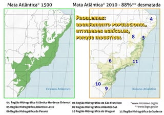 Mata Atlântica* 1500 Mata Atlântica* 2010 - 88%** desmatada
*www.micoleao.org.br
**www.ibge.gov.br
55
1111
99
1010
66
88
44
04 Região Hidrográﬁca Atlântico Nordeste Oriental
05 Região Hidrográﬁca Atlântico Leste
06 Região Hidrográﬁca do Paraná
08 Região Hidrográﬁca do São Francisco
09 Região Hidrográﬁca Atlântico Sul
10 Região Hidrográﬁca do Uruguai 11 Região Hidrográﬁca do Sudeste
Problemas:
adensamento populacional,
atividades agrícolas,
parque industrial
Problemas:
adensamento populacional,
atividades agrícolas,
parque industrial
Problemas:
adensamento populacional,
atividades agrícolas,
parque industrial
 