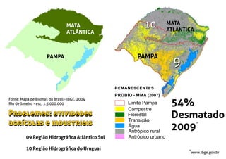 PAMPA
MATA
ATLÂNTICA
Fonte: Mapa de Biomas do Brasil - IBGE, 2004
Rio de Janeiro - esc. 1:5.000.000
REMANESCENTES
PROBIO - MMA (2007)
Limite Pampa
Campestre
Florestal
Transição
Água
Antrópico rural
Antrópico urbano
54%
Desmatado
2009
PAMPA
MATA
ATLÂNTICA
www.ibge.gov.br
*
*
99
1010
09 Região Hidrográﬁca Atlântico Sul
10 Região Hidrográﬁca do Uruguai
Problemas: atividades
agrícolas e industriais
Problemas: atividades
agrícolas e industriais
 