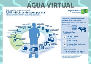 ÁGUA VIRTUAL
 