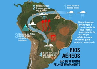 Mesmo havendo
evaporação e
concentração de
água sobre a
Amazônia não há
evaporação
suﬁciente e nem
correntes que a
empurre rumo ao sul.
 