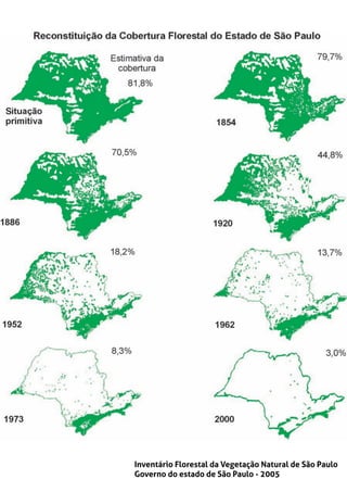 Inventário Florestal da Vegetação Natural de São Paulo
Governo do estado de São Paulo - 2005
 