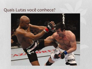 Quais Lutas você conhece?

 
