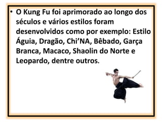 • O Kung Fu foi aprimorado ao longo dos 
séculos e vários estilos foram 
desenvolvidos como por exemplo: Estilo 
Águia, Dragão, Chi’NA, Bêbado, Garça 
Branca, Macaco, Shaolin do Norte e 
Leopardo, dentre outros. 
 