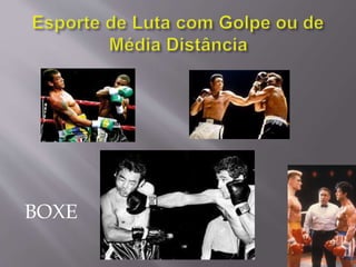 BOXE
 