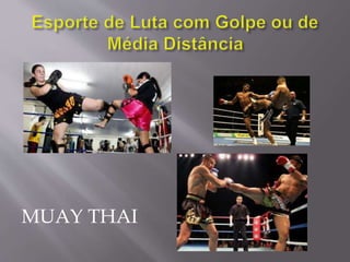 MUAY THAI
 