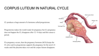 CORPUS LUTEUM IN NATURAL CYCLE
CL produces a huge amount of a hormone called progesterone.
Progesterone makes the womb ready for pregnancy but if a pregnancy
does not happen the CL disappears after 12–14 days and this causes a
period.
If a pregnancy occurs, then the pregnancy hormone (hCG) keeps the
CL alive and its progesterone supports the pregnancy for the next 6–8
weeks until the placenta takes over and the corpus luteum disappears.
 