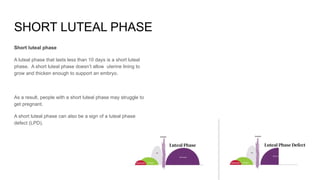 SHORT LUTEAL PHASE
Short luteal phase
A luteal phase that lasts less than 10 days is a short luteal
phase. A short luteal phase doesn’t allow uterine lining to
grow and thicken enough to support an embryo.
As a result, people with a short luteal phase may struggle to
get pregnant.
A short luteal phase can also be a sign of a luteal phase
defect (LPD).
 