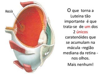 O que  torna a Luteina tão importante  é que  trata-se  de um dos 2 únicoscaratenóides que   se acumulam na mácula -região mediana da retina - nos olhos.Mais nenhum!