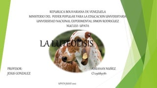 LA LUTEOLISIS
ABRAHAN NUÑEZ
CI:29689781
REPUBLICA BOLIVARIANA DE VENEZUELA
MINISTERIO DEL PODER POPULAR PARA LA EDUCACION UNIVERSITARIA
UNIVERSIDAD NACIONAL EXPERIMENTAL SIMON RODRIGUEZ
NUCLEO- UPATA
UPATA JULIO 2022
PROFESOR:
JESUS GONZALEZ
 