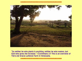 “So neither he who plants is anything, neither he who waters, but
God who gives the increase.” 1 Corinthians 3:7 This is an overview of
Tierra de Gracia Lutheran Farm in Venezuela.
 