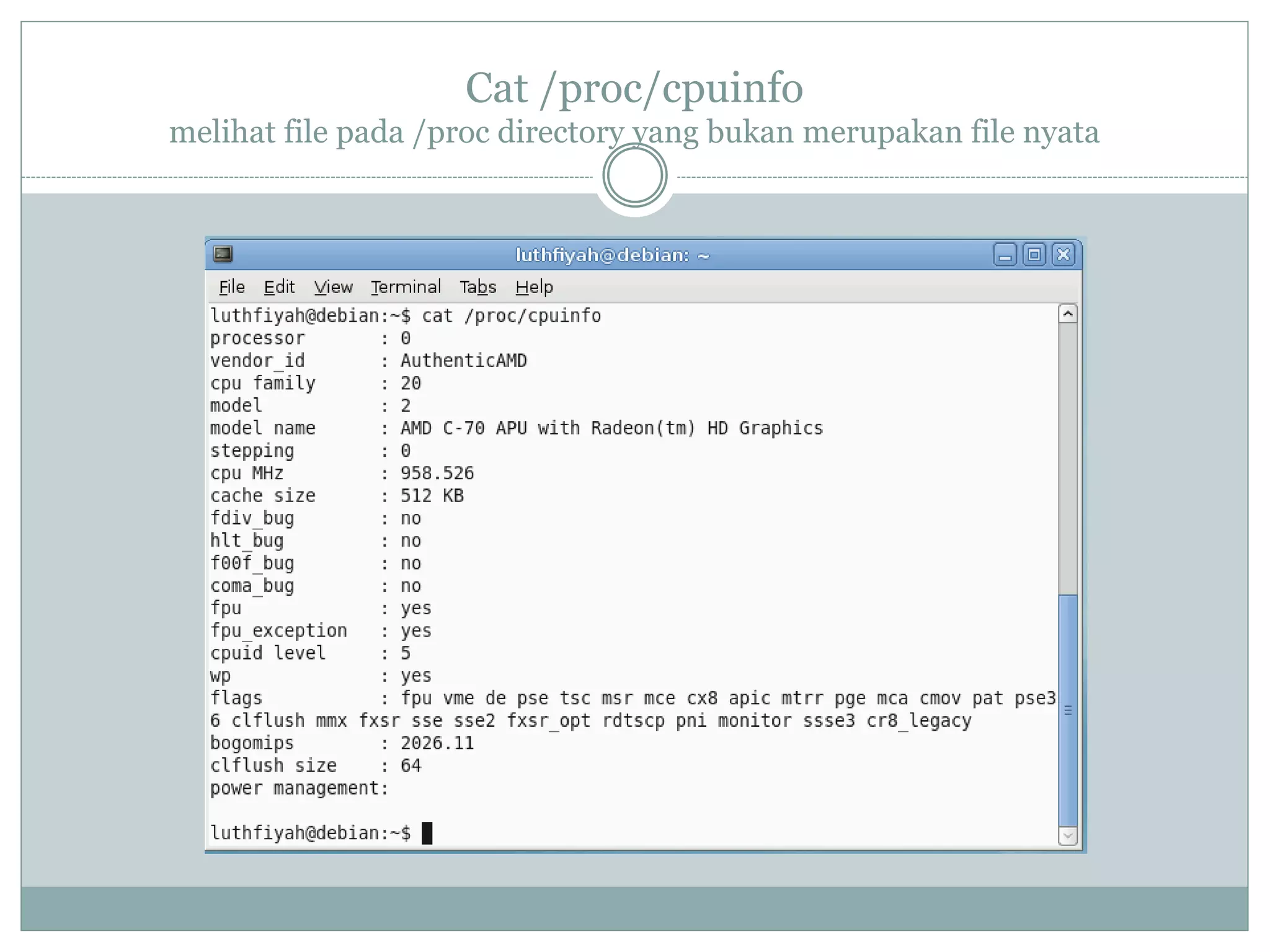 Cat /proc/cpuinfo
melihat file pada /proc directory yang bukan merupakan file nyata
 