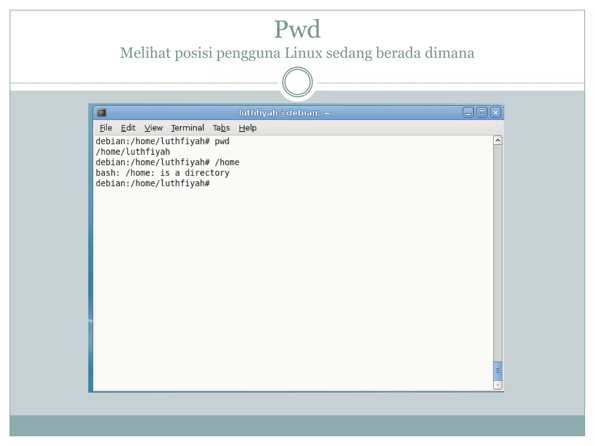 Pwd
Melihat posisi pengguna Linux sedang berada dimana
 