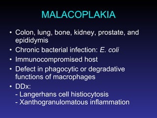 MALACOPLAKIA Colon, lung, bone, kidney, prostate, and epididymis Chronic bacterial infection:  E. coli Immunocompromised host Defect in phagocytic or degradative functions of macrophages DDx:  - Langerhans cell histiocytosis - Xanthogranulomatous inflammation 