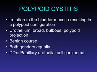 POLYPOID CYSTITIS Irritation to the bladder mucosa resulting in a polypoid configuration Urothelium: broad, bulbous, polypoid projection Benign course Both genders equally DDx: Papillary urothelial cell carcinoma 