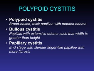 POLYPOID CYSTITIS Polypoid cystitis Broad-based, thick papillae with marked edema Bullous cystitis Papillae with extensive edema such that width is greater than height Papillary cystitis End stage with slender finger-like papillae with more fibrosis 