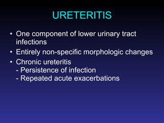URETERITIS One component of lower urinary tract infections Entirely non-specific morphologic changes Chronic ureteritis - Persistence of infection - Repeated acute exacerbations 