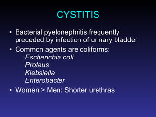 CYSTITIS Bacterial pyelonephritis frequently preceded by infection of urinary bladder Common agents are coliforms: Escherichia coli Proteus Klebsiella Enterobacter Women > Men: Shorter urethras 