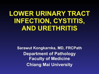 LOWER URINARY TRACT INFECTION, CYSTITIS, AND URETHRITIS Sarawut Kongkarnka, MD, FRCPath Department of Pathology Faculty of Medicine Chiang Mai University 