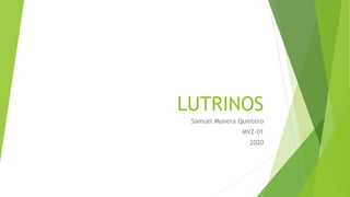 LUTRINOS
Samuel Munera Quintero
MVZ-01
2020
 
