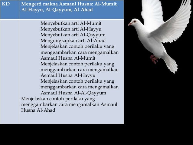 Contoh Perilaku Al Hayyu Tugas sekolah