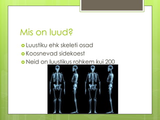 Mis on luud?LuustikuehkskeletiosadKoosnevadsidekoestNeid on luustikus rohkem kui 200