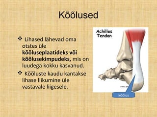 Kõõlused
 Lihased lähevad oma
otstes üle
kõõluseplaatideks või
kõõlusekimpudeks, mis on
luudega kokku kasvanud.
 Kõõluste kaudu kantakse
lihase liikumine üle
vastavale liigesele.
kõõlus
 