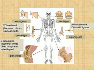 keraliigesed
liugurliigesed
plokkliiges
plokkliiges
pöördliiges
Võimaldavad
jäsemetel mitmes
suunas liikuda.
Võimaldavad
jäsemetel liikuda
ühes tasapinnas
edasi-tagasi.
Võimaldab teha
pööravaid liigutusi.
 