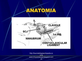 ANATOMIA
http://traumatologiaeortopedia.co
m &
www.ortopediabrasil.blogspot.com
.br
 