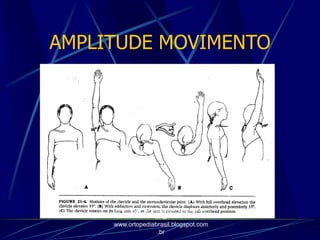 AMPLITUDE MOVIMENTO
http://traumatologiaeortopedia.co
m &
www.ortopediabrasil.blogspot.com
.br
 