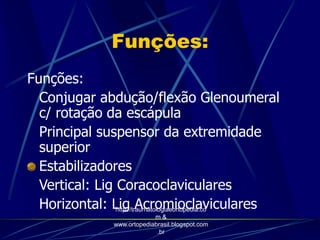 Funções:
Funções:
Conjugar abdução/flexão Glenoumeral
c/ rotação da escápula
Principal suspensor da extremidade
superior
Estabilizadores
Vertical: Lig Coracoclaviculares
Horizontal: Lig Acromioclaviculareshttp://traumatologiaeortopedia.co
m &
www.ortopediabrasil.blogspot.com
.br
 