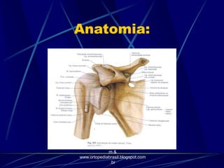 Anatomia:
http://traumatologiaeortopedia.co
m &
www.ortopediabrasil.blogspot.com
.br
 
